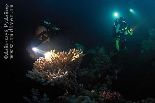  Дайвинг Пхукет Таиланд - русский дайв-клуб -  Ночной дайвинг (night diving - найт дайвинг)
