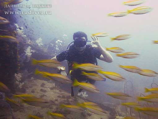 Дайвинг Пхукет Таиланд - русский дайв-клуб - курсы PADI - курс AOWD, Advance, ПАДИ эдванс Дайвинг Пхукет Таиланд - русский дайв-клуб - курсы PADI - курс AOWD, Advance, ПАДИ эдванс е