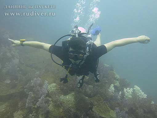 Дайвинг Пхукет Таиланд - русский дайв-клуб - курсы PADI - курс AOWD, Advance, ПАДИ эдванс Дайвинг Пхукет Таиланд - русский дайв-клуб - курсы PADI - курс AOWD, Advance, ПАДИ эдванс е